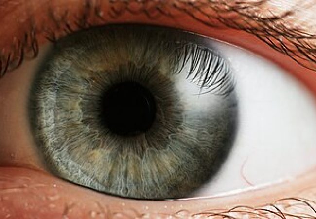 El creador de ChatGPT te regala dólares por leer tu retina: cómo es el proyecto furor en Argentina